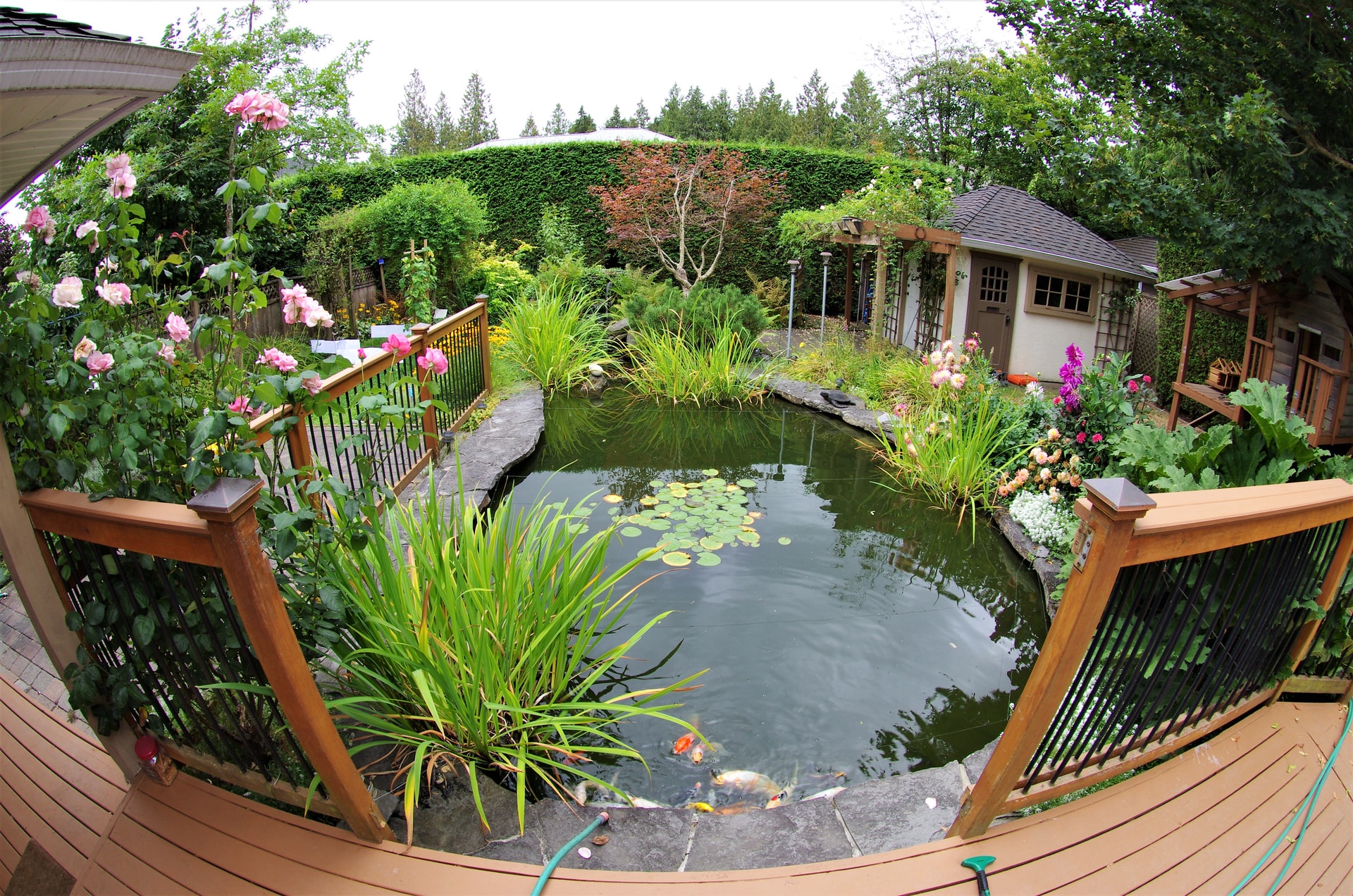 Gartengestaltung Entspannung an Teich und Terrasse Hobby Handwerker